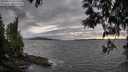 ./images/koeye/fitz-hugh/20250513/fitz-hugh20250513_191009M.jpg