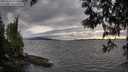 ./images/koeye/fitz-hugh/20250513/fitz-hugh20250513_191508M.jpg