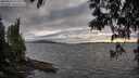 ./images/koeye/fitz-hugh/20250513/fitz-hugh20250513_192009M.jpg