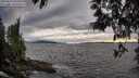 ./images/koeye/fitz-hugh/20250513/fitz-hugh20250513_193508M.jpg