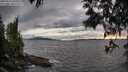 ./images/koeye/fitz-hugh/20250513/fitz-hugh20250513_194009M.jpg
