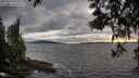 ./images/koeye/fitz-hugh/20250513/fitz-hugh20250513_194508M.jpg