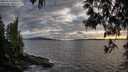 ./images/koeye/fitz-hugh/20250513/fitz-hugh20250513_200508M.jpg