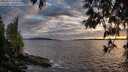 ./images/koeye/fitz-hugh/20250513/fitz-hugh20250513_203008M.jpg