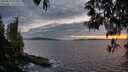 ./images/koeye/fitz-hugh/20250513/fitz-hugh20250513_213008M.jpg