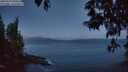 ./images/koeye/fitz-hugh/20250514/fitz-hugh20250514_050008M.jpg