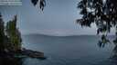 ./images/koeye/fitz-hugh/20250514/fitz-hugh20250514_052009M.jpg