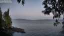 ./images/koeye/fitz-hugh/20250514/fitz-hugh20250514_053008M.jpg
