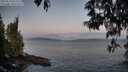 ./images/koeye/fitz-hugh/20250514/fitz-hugh20250514_053509M.jpg
