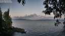 ./images/koeye/fitz-hugh/20250514/fitz-hugh20250514_054508M.jpg
