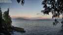 ./images/koeye/fitz-hugh/20250514/fitz-hugh20250514_060011M.jpg