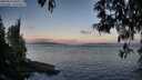 ./images/koeye/fitz-hugh/20250514/fitz-hugh20250514_060509M.jpg