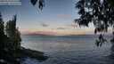 ./images/koeye/fitz-hugh/20250514/fitz-hugh20250514_061010M.jpg