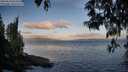 ./images/koeye/fitz-hugh/20250514/fitz-hugh20250514_062011M.jpg