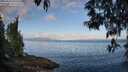 ./images/koeye/fitz-hugh/20250514/fitz-hugh20250514_075510M.jpg