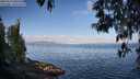 ./images/koeye/fitz-hugh/20250514/fitz-hugh20250514_080510M.jpg