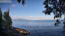 ./images/koeye/fitz-hugh/20250514/fitz-hugh20250514_081009M.jpg