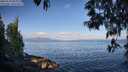 ./images/koeye/fitz-hugh/20250514/fitz-hugh20250514_082010M.jpg