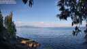 ./images/koeye/fitz-hugh/20250514/fitz-hugh20250514_082509M.jpg