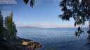 ./images/koeye/fitz-hugh/20250514/fitz-hugh20250514_083011M.jpg