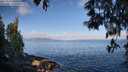 ./images/koeye/fitz-hugh/20250514/fitz-hugh20250514_083510M.jpg