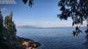 ./images/koeye/fitz-hugh/20250514/fitz-hugh20250514_084010M.jpg