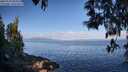 ./images/koeye/fitz-hugh/20250514/fitz-hugh20250514_084511M.jpg