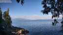 ./images/koeye/fitz-hugh/20250514/fitz-hugh20250514_085010M.jpg