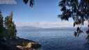 ./images/koeye/fitz-hugh/20250514/fitz-hugh20250514_085510M.jpg