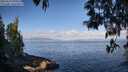 ./images/koeye/fitz-hugh/20250514/fitz-hugh20250514_090011M.jpg