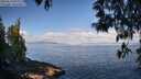 ./images/koeye/fitz-hugh/20250514/fitz-hugh20250514_091010M.jpg