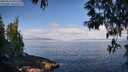 ./images/koeye/fitz-hugh/20250514/fitz-hugh20250514_091511M.jpg