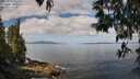 ./images/koeye/fitz-hugh/20250514/fitz-hugh20250514_102509M.jpg