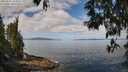 ./images/koeye/fitz-hugh/20250514/fitz-hugh20250514_103012M.jpg