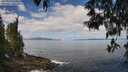 ./images/koeye/fitz-hugh/20250514/fitz-hugh20250514_104011M.jpg