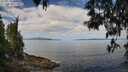 ./images/koeye/fitz-hugh/20250514/fitz-hugh20250514_104510M.jpg