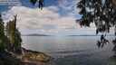 ./images/koeye/fitz-hugh/20250514/fitz-hugh20250514_105010M.jpg