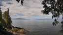 ./images/koeye/fitz-hugh/20250514/fitz-hugh20250514_105510M.jpg