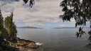 ./images/koeye/fitz-hugh/20250514/fitz-hugh20250514_110010M.jpg