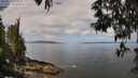 ./images/koeye/fitz-hugh/20250514/fitz-hugh20250514_110509M.jpg