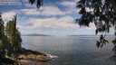 ./images/koeye/fitz-hugh/20250514/fitz-hugh20250514_112509M.jpg