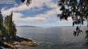 ./images/koeye/fitz-hugh/20250514/fitz-hugh20250514_113507M.jpg