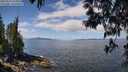 ./images/koeye/fitz-hugh/20250514/fitz-hugh20250514_115011M.jpg