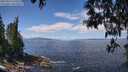 ./images/koeye/fitz-hugh/20250514/fitz-hugh20250514_120509M.jpg