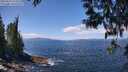 ./images/koeye/fitz-hugh/20250514/fitz-hugh20250514_124511M.jpg