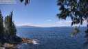 ./images/koeye/fitz-hugh/20250514/fitz-hugh20250514_130507M.jpg