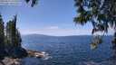 ./images/koeye/fitz-hugh/20250514/fitz-hugh20250514_133510M.jpg