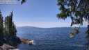 ./images/koeye/fitz-hugh/20250514/fitz-hugh20250514_134010M.jpg