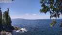 ./images/koeye/fitz-hugh/20250514/fitz-hugh20250514_135010M.jpg
