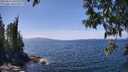 ./images/koeye/fitz-hugh/20250514/fitz-hugh20250514_135510M.jpg